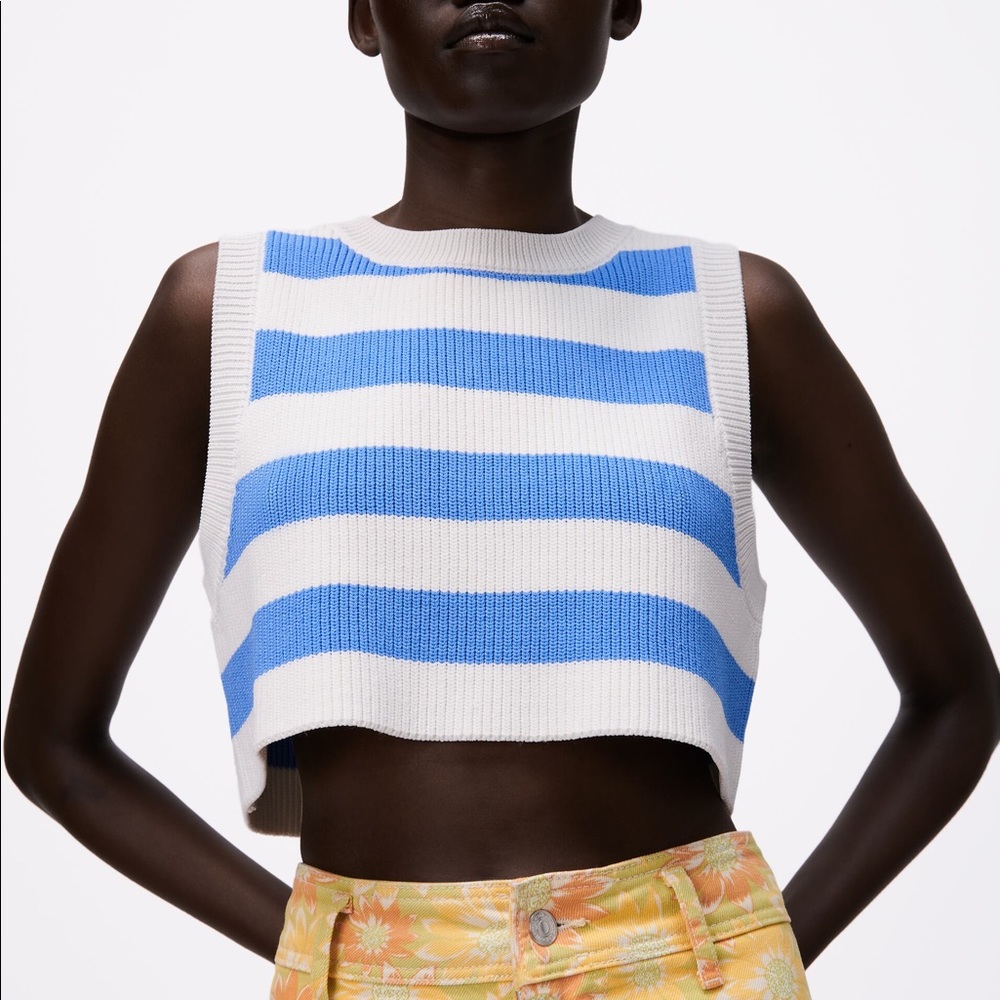 NWOT Zara blue and white striped knit crop top